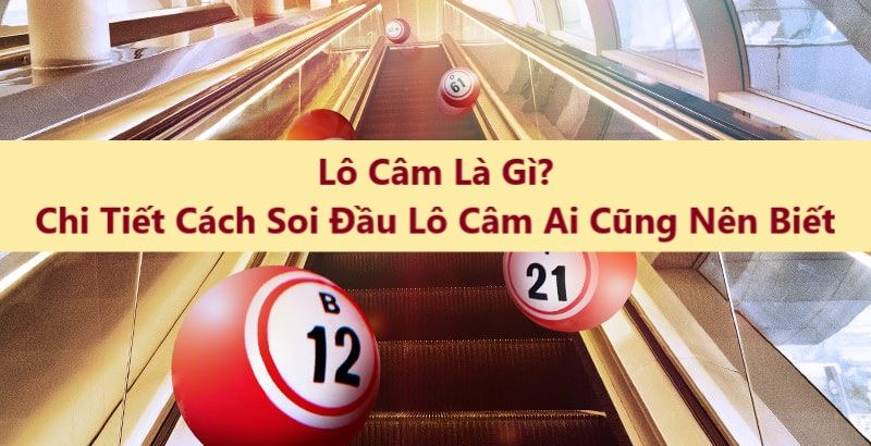 Lô câm là gì?